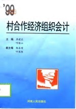 '99新编村合作经济组织会计