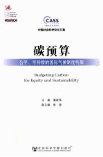 碳预算  公平、可持续的国际气候制度构架