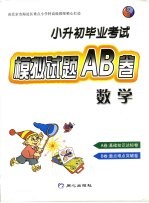 小升初毕业考试模拟试题AB卷 数学