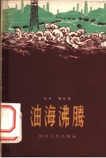 油海沸腾  散文·特写集