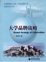 大学品牌战略