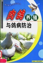 肉鸽养殖与鸽病防治