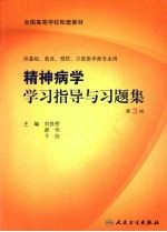 精神病学学习指导与习题集  第3版