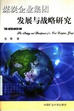 煤炭企业集团发展与战略研究