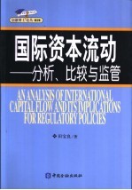 国际资本流动  分析、比较与监管