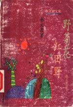 野菊花  红田野