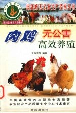 肉鸡无公害高效养殖