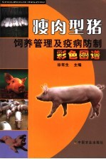 瘦肉型猪饲养管理及疫病防制彩色图谱