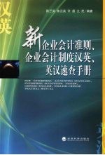 新企业会计准则、企业会计制度汉英、英汉速查手册