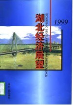 1999湖北经济展望