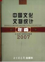 中国文化文物统计年鉴  2007