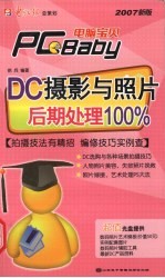 DC摄影与照片后期处理100%