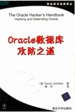 ORACLE数据库攻防之道