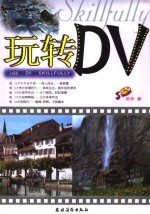 玩转DV