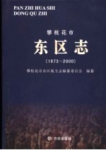 攀枝花市东区志  1973-2000