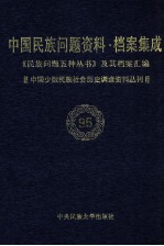 当代中国民族问题资料·档案汇编  《民族问题五种丛书》及其档案集成  第5辑  中国少数民族社会历史调查资料丛刊  第95卷