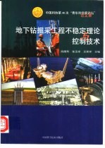 地下钻掘采工程不稳定理论与控制技术  中国科协第46次“青年科学家论坛”论文集