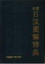 杜登日汉图解辞典