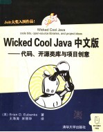 Wicked Cool Java中文版-代码、开源类库与项目创意