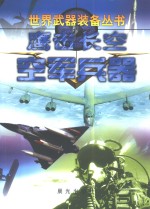 鹰击长空  空军兵器