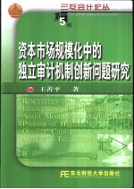 资本市场规模化中的独立审计机制创新问题研究