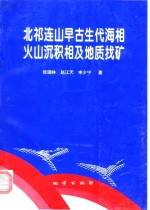 北祁连山早古生代海相火山沉积相及地质找矿