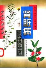 肾脏病妙用中药