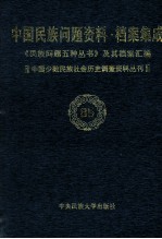 当代中国民族问题资料·档案汇编  《民族问题五种丛书》及其档案集成  第5辑  中国少数民族社会历史调查资料丛刊  第85卷