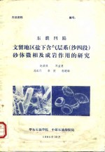 东濮凹陷文留地区盐下含气层系  沙四段  砂体微相及成岩作用的研究