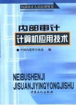 内部审计计算机应用技术