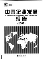 中国企业发展报告  2007