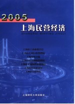 2005上海民营经济