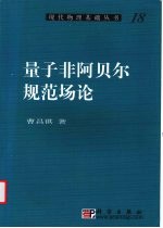 量子非阿贝尔规范场论