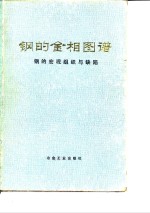 钢的金相图谱  钢的宏观组织与缺陷