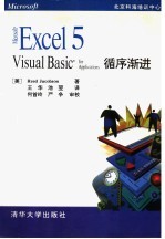 Excel Visual Basic for Applications循序渐进