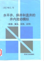 水平井、斜井和直井的井内流动模拟  原理、解法、实例、应用