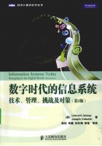 数字时代的系统  技术、管理、挑战及对策  第3版