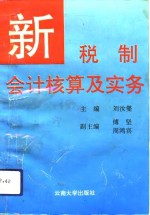 新税制会计核算及实务