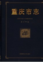 重庆市志  第14卷  公安志  检察志  审判志  司法行政志  军事志  外事志