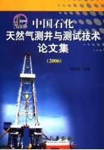 中国石化天然气测井与测试技术论文集  2006