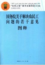 国务院关于解决农民工问题的若干意见图释