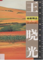 王晓光油画精品