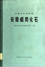 安徽古生物图册  安徽  类化石