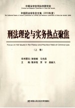 中国刑法学年会文集  2010年度  刑法理论与实务热点聚焦  上