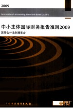 2009中小主体国际财务报告准则