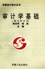 审计学基础  现代审计学