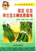 菜豆  豇豆  荷兰豆大棚优质栽培