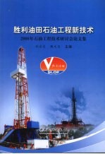 胜利油田石油工程新技术  2008年石油工程技术研讨会论文集