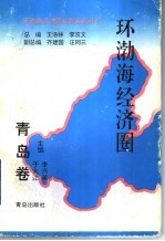 环渤海经济圈  青岛卷