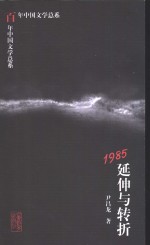 1985  延伸与转折